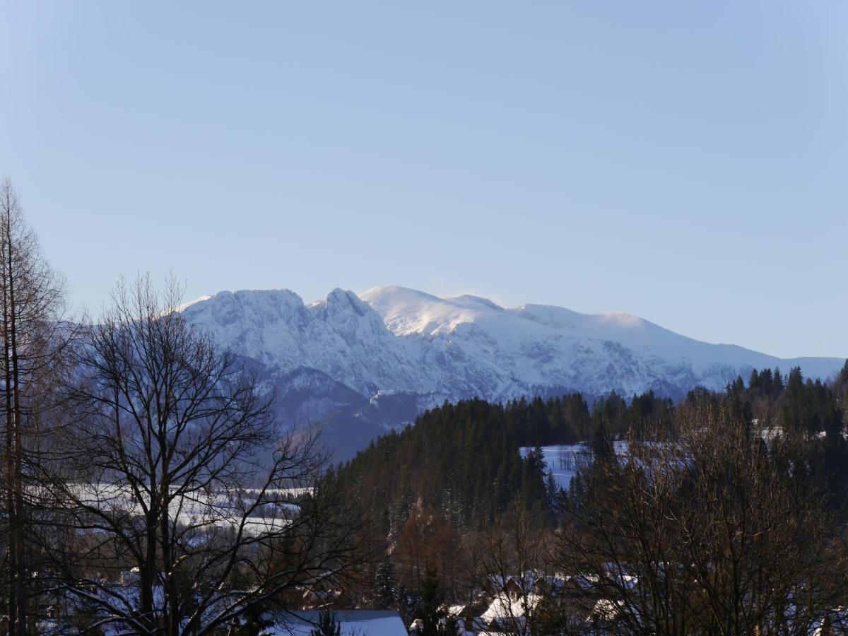 Domki Gorskie Widoki Biały Dunajec Buitenkant foto