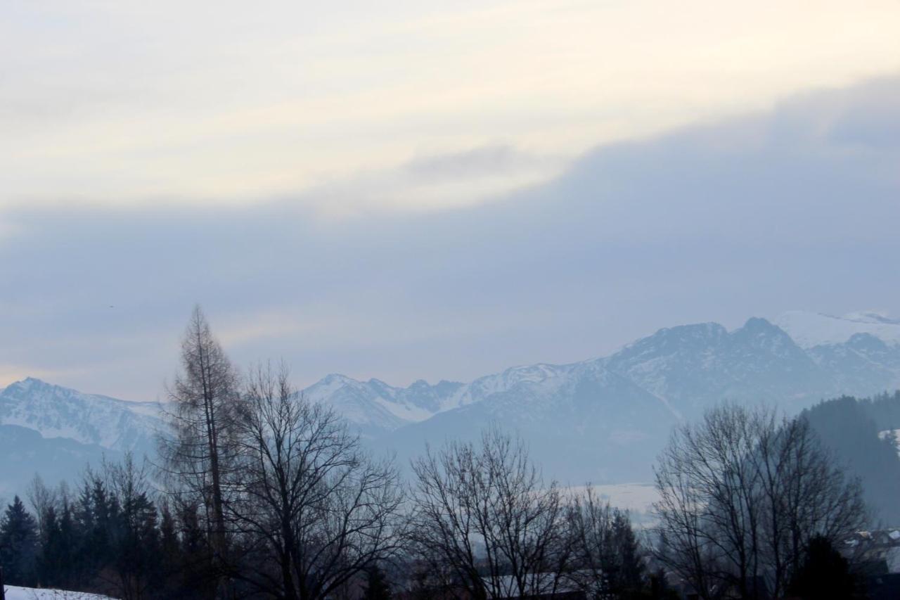 Domki Gorskie Widoki Biały Dunajec Buitenkant foto